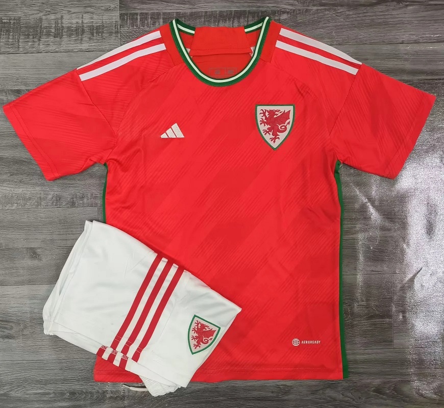 Kids-Wales 2022 World Cup Home Soccer Jersey